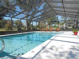 a large swimming pool with chairs and an umbrella at Foxrun Retreat - 3BR Inverness Poolhome in Inverness