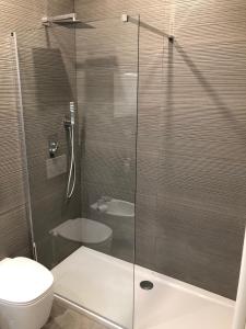 a bathroom with a glass shower with a toilet at JOE LUXURY HOUSE in Turin