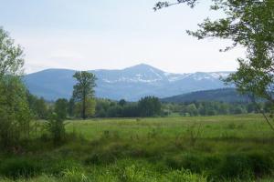 耶萊尼亞古拉的住宿－Karpnicka Struga W Dolinie Pałaców i Ogrodów，相簿中的一張相片