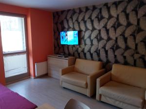 ein Wohnzimmer mit 2 Stühlen und einem Flachbild-TV in der Unterkunft Apartmán Sofie se zahrádkou in Harrachov