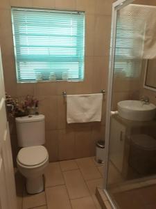 une salle de bain avec toilettes et lavabo dans l'établissement Overmeer, à Worcester