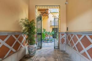 馬拉加的住宿－CASA MIRAFLORES，走廊上有一扇门,上面有盆栽植物