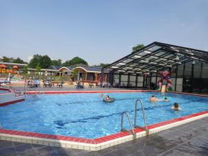 a group of people swimming in a swimming pool at Lodge 4 personen camping de Molenhof in Reutum