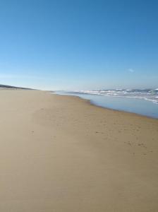 uma praia arenosa com o oceano ao fundo em La bulle de Lily em Moliets-et-Maa