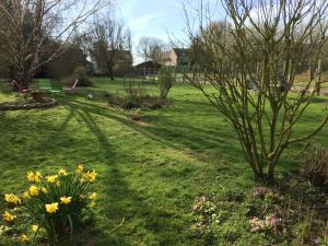 a garden with flowers and a tree in the grass at L'Autruche Verte in Arleux-en-Gohelle