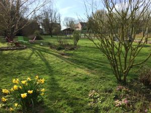un jardín con flores y un árbol en el césped en L'Autruche Verte, en Arleux-en-Gohelle