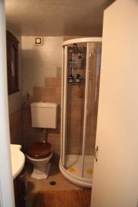 a small bathroom with a toilet and a shower at Alkioni stone house in Hydra +38 photos