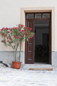 Gallery image of Vadszőlő Vend&eacute;gh&aacute;z in Veszpr&eacute;m