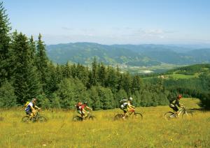 a group of people riding bikes in a field at Bed & Breakfast Reaktiv in Zreče