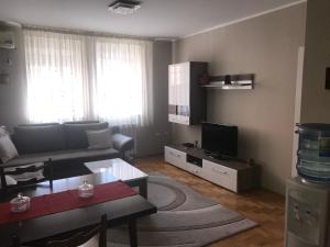 - un salon avec un canapé et une télévision dans l'établissement Apartman AS, à Belgrade