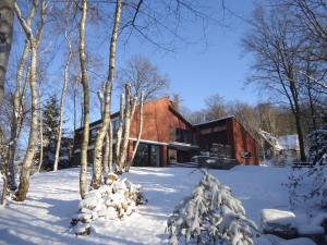 een huis in de sneeuw met bomen ervoor bij Green Hill Guest House and Apartment in Overijse