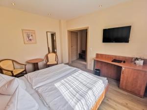 TV a/nebo společenská místnost v ubytování Wald-Hotel