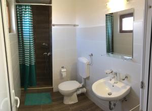 a bathroom with a toilet and a sink and a shower at Fruška Gora Guesthouse in Irig +45 photos