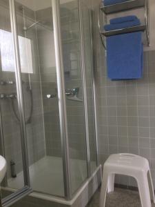 La salle de bains est pourvue d'une douche avec une porte en verre. dans l'établissement Ferienhaus Moock, à Horn-Bad Meinberg