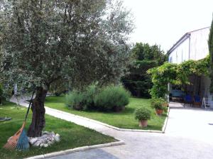 un patio con un árbol y una piscina en La Jarrie Leduc, en La Jarrie