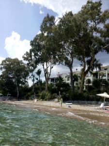 a view of a beach with trees in the background at ARETI APARTMENTS in Petalidi