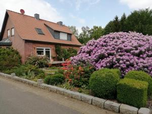 Κήπος έξω από το Ferienwohnung Bachmanns Ruh