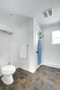 a bathroom with a toilet and a shower at Appalachian Chalets & RV in Corner Brook