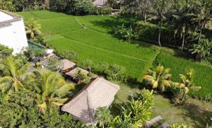 una vista aerea di una casa e di risaie di Byasa Ubud ad Ubud