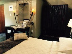 a bedroom with a bed and a mirror at Chinaka Game Lodge in Vivo