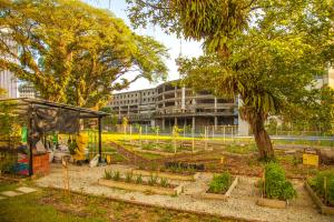 a garden with a greenhouse and a tree and a building at YWCA Kuala Lumpur in Kuala Lumpur