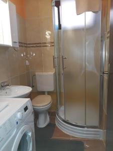 een badkamer met een douche, een toilet en een wasmachine bij Apartments Đorđe & Anna in Fažana