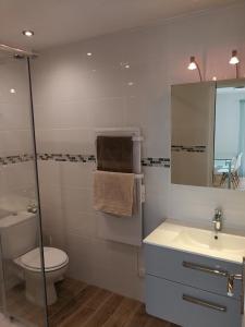 een badkamer met een toilet, een wastafel en een spiegel bij Les Charmettes de la Côte - Entre mer et montagne in Carros