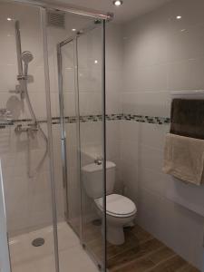 een badkamer met een toilet en een glazen douche bij Les Charmettes de la Côte - Entre mer et montagne in Carros
