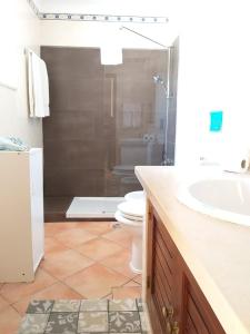 een badkamer met een toilet, een wastafel en een douche bij Casa do Poco in Armação de Pêra