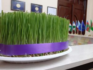 Fotografie z fotogalerie ubytování City Hostel Dushanbe v destinaci Dušanbe + 40 fotografií