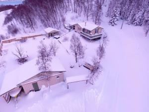Mortenhals的住宿－Marytun Cabins，雪覆盖的房子的空中景色