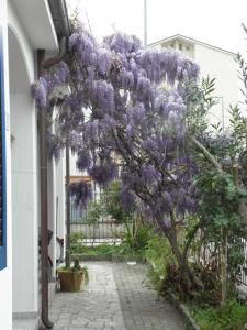 Gallery image of RITA'S ROOM ON THE SEA in Giulianova