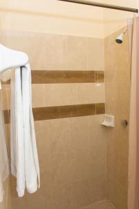 Bilik mandi di Hotel San Miguel