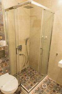ヒサリャにあるAntique Residenceのバスルーム(シャワーブース、トイレ付)