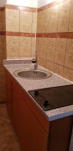 a bathroom counter with a sink in a room at Apartament Belvedere in Olimp +8 photos