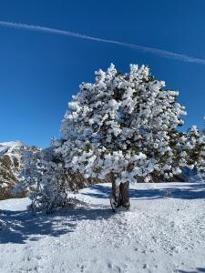 Apartamento con Encanto during the winter