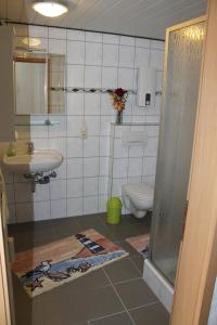 a bathroom with a toilet and a sink at Ferienwohnung Schmahl in Schleiden