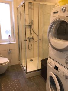 a bathroom with a shower and a washing machine at Ferienwohnung An der alten Weed in Bad Windsheim