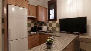 A kitchen or kitchenette at ALOJAMIENTO EN SEVILLA-TRIANA