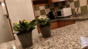 A kitchen or kitchenette at ALOJAMIENTO EN SEVILLA-TRIANA