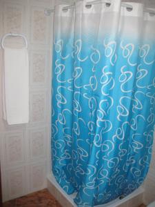 La salle de bains est pourvue d'une douche avec un rideau de douche bleu. dans l'établissement Hostal Alvaro I, à Alborea