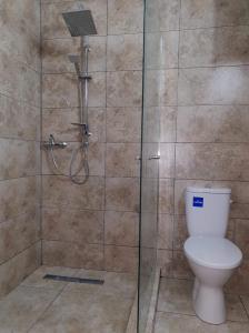 uma cabina de duche com WC na casa de banho em ingrid em Mangalia
