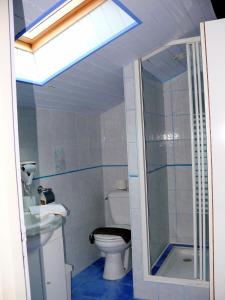 a bathroom with a shower and a toilet and a sink at Les Oiseaux in Saint-Émilion