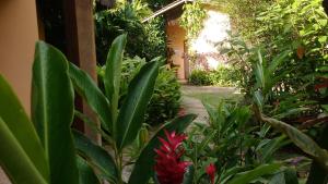 un jardin avec des fleurs rouges et des plantes vertes dans l'établissement Pousada Magia Verde, à Parati