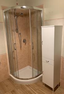 a shower with a glass door in a bathroom at Agriturismo Campolungo in Cutigliano