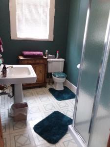 a bathroom with a sink and a toilet and a shower at Inn Port D'Vino in Dayton