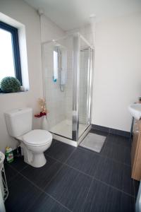 a bathroom with a toilet and a shower at Beside the sea & minutes from Cliffs-Clahane Shore Lodge in Liscannor