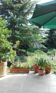 レーヴフュロップにあるVilla-Magdi Vendégházの鉢植えの植物と緑の傘が置かれた庭園