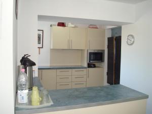 Kuchyň nebo kuchyňský kout v ubytování Pension Oasis + 13 fotografií