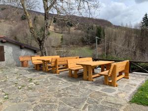 um grupo de mesas e bancos de madeira num pátio em Agriturismo Campolungo em Cutigliano
